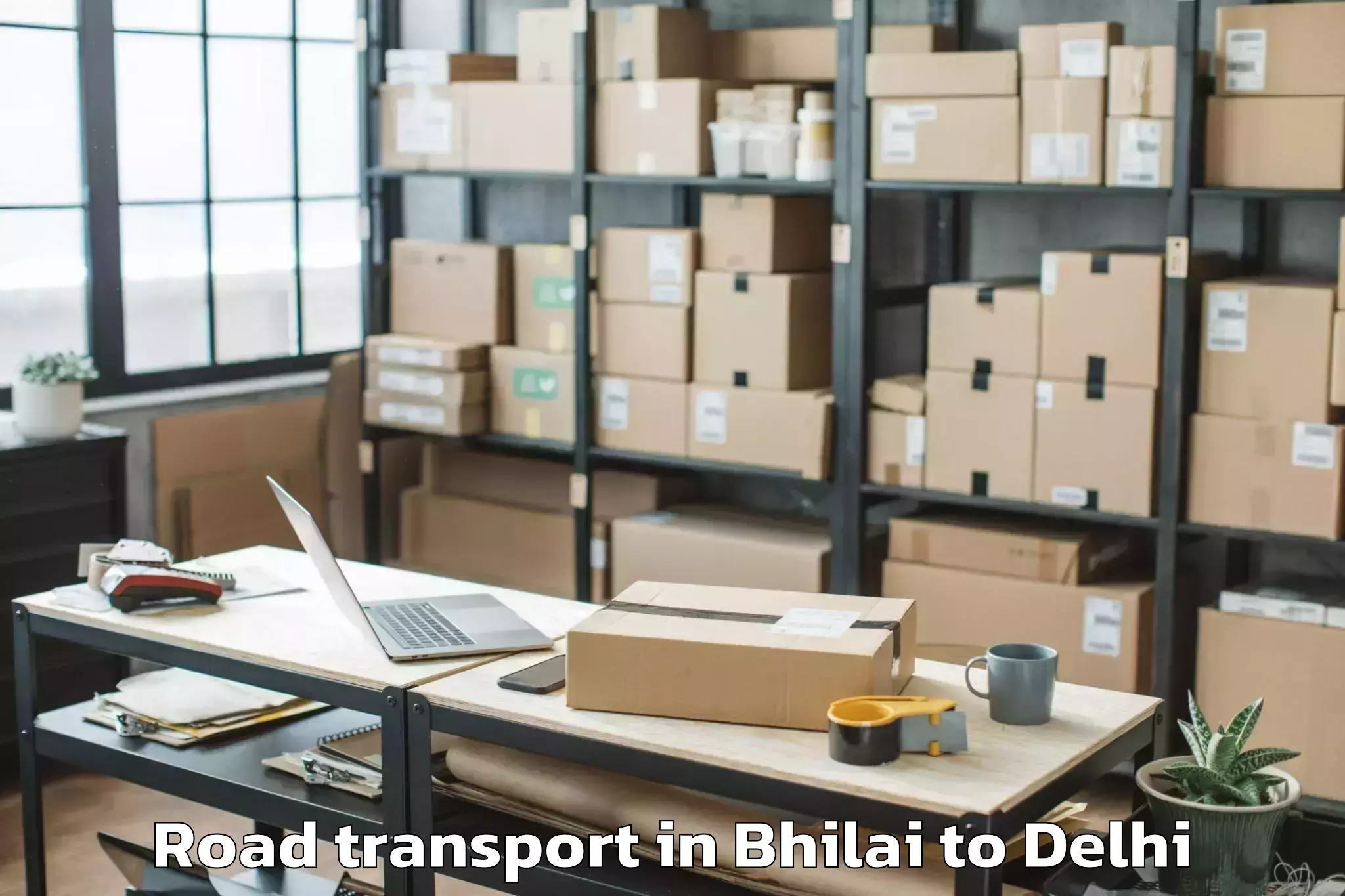 Professional Bhilai to D Mall Rohini Road Transport